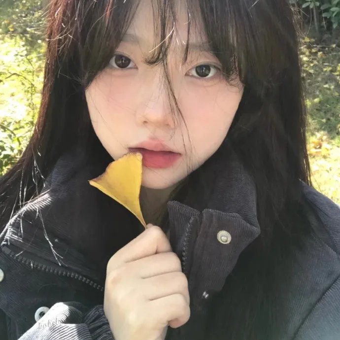 键的嘉年华第二季